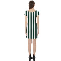 Short Sleeve Skater Dress Back