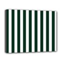 Deluxe Canvas 20  x 16  (Stretched) 