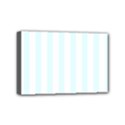 Mini Canvas 6  x 4  (Stretched) 