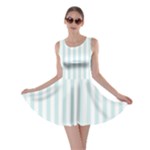 Vertical Stripes - White and Light Cyan Skater Dress