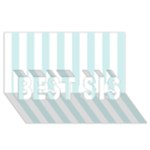 Vertical Stripes - White and Light Cyan BEST SIS 3D Greeting Card (8x4)