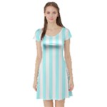 Vertical Stripes - White and Celeste Cyan Short Sleeve Skater Dress