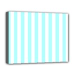 Vertical Stripes - White and Celeste Cyan Deluxe Canvas 20  x 16  (Stretched)