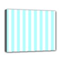 Deluxe Canvas 20  x 16  (Stretched) 