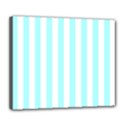 Deluxe Canvas 24  x 20  (Stretched) 