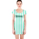 Vertical Stripes - White and Aquamarine Short Sleeve Bodycon Dress