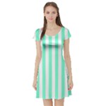 Vertical Stripes - White and Aquamarine Short Sleeve Skater Dress