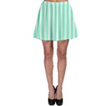 Vertical Stripes - White and Aquamarine Skater Skirt