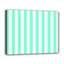 Deluxe Canvas 20  x 16  (Stretched) 