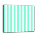 Deluxe Canvas 24  x 20  (Stretched) 