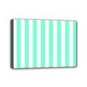Mini Canvas 7  x 5  (Stretched) 