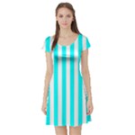 Vertical Stripes - White and Aqua Cyan Short Sleeve Skater Dress