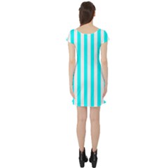 Short Sleeve Skater Dress Back