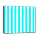 Deluxe Canvas 20  x 16  (Stretched) 