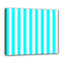 Deluxe Canvas 24  x 20  (Stretched) 