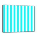 Canvas 20  x 16  (Stretched) 