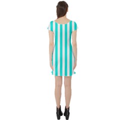 Short Sleeve Skater Dress Back