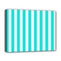 Deluxe Canvas 20  x 16  (Stretched) 