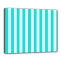 Canvas 20  x 16  (Stretched) 