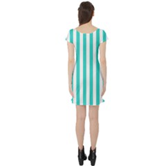 Short Sleeve Skater Dress Back