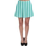 Vertical Stripes - White and Turquoise Skater Skirt