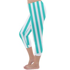 Capri Winter Leggings Back Capri Winter Leggings Back