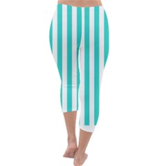 Capri Winter Leggings  