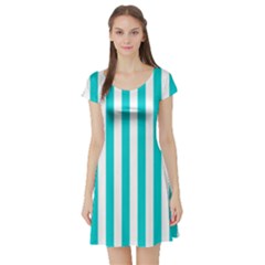 Short Sleeve Skater Dress Front