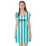 Vertical Stripes - White and Cyan Short Sleeve Skater Dress