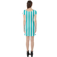 Short Sleeve Skater Dress Back