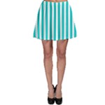 Vertical Stripes - White and Cyan Skater Skirt