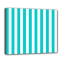 Deluxe Canvas 24  x 20  (Stretched) 