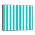 Canvas 20  x 16  (Stretched) 