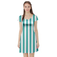 Short Sleeve Skater Dress Front