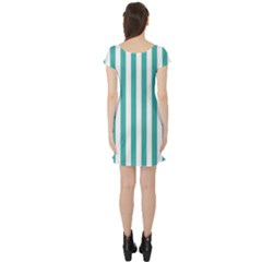 Short Sleeve Skater Dress Back