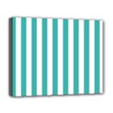 Deluxe Canvas 20  x 16  (Stretched) 