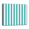 Deluxe Canvas 24  x 20  (Stretched) 