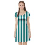 Vertical Stripes - White and Teal Short Sleeve Skater Dress