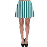 Vertical Stripes - White and Teal Skater Skirt