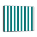 Deluxe Canvas 20  x 16  (Stretched) 