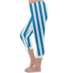 Capri Winter Leggings Back Capri Winter Leggings Back