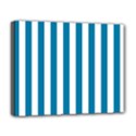 Deluxe Canvas 20  x 16  (Stretched) 