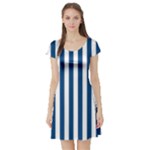 Vertical Stripes - White and Dark Cerulean Short Sleeve Skater Dress