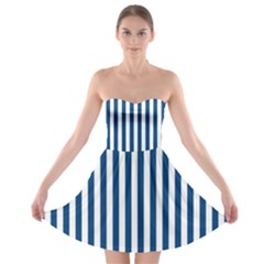 Strapless Bra Top Dress 