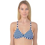 Vertical Stripes - White and Dark Cerulean Reversible Tri Bikini Top
