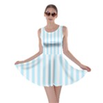 Vertical Stripes - White and Light Blue Skater Dress