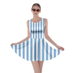 Skater Dress 