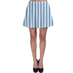 Vertical Stripes - White and Iceberg Blue Skater Skirt