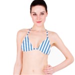 Vertical Stripes - White and Iceberg Blue Bikini Top