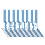 Vertical Stripes - White and Iceberg Blue BEST BRO 3D Greeting Card (8x4)